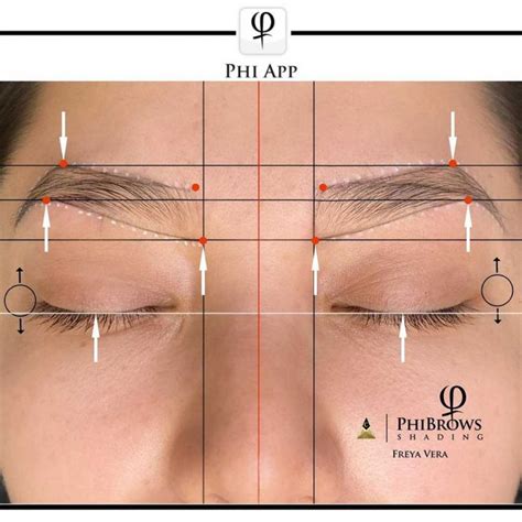 Eyebrow Mapping Tips and Tricks – The Best Outline for Every Client