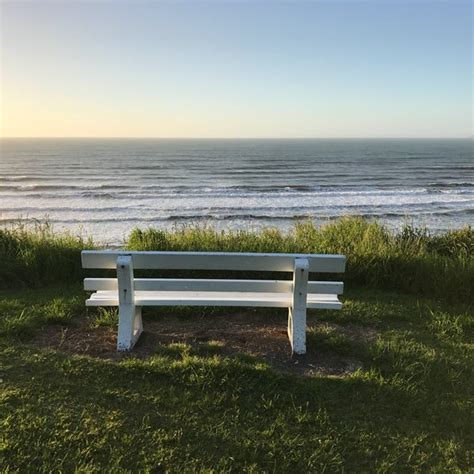 Paekakariki Holiday Park - 1 tip from 48 visitors