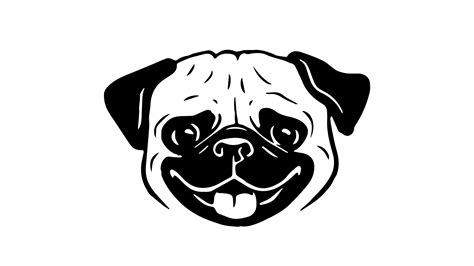 Pug Face Png | ubicaciondepersonas.cdmx.gob.mx