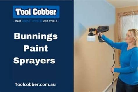 Bunnings Paint Sprayers — Our Top Picks | Tool Cobber