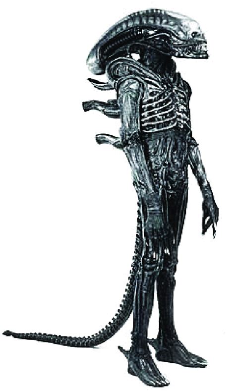 Giger's original Alien design (Xenomorph). Image extracted from ...