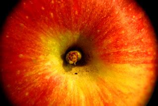 Apple | Apple. About to be peeled and sliced to make the gal… | Flickr