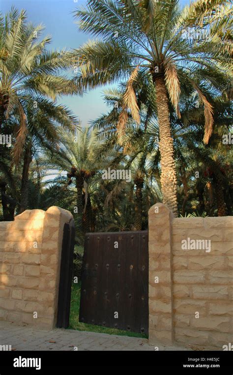 Al Ain Oasis Stock Photo - Alamy