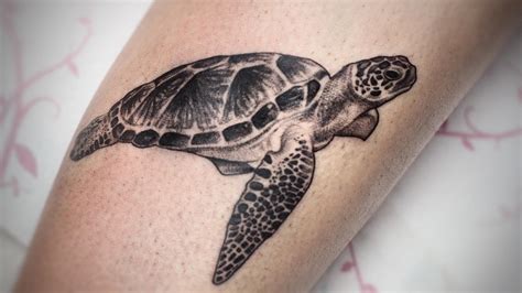 The Hidden Symbolism Behind Turtle Tattoos Revealed! | Regretless