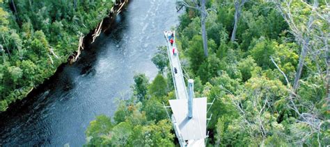 Tahune AirWalk Tickets | Tasmania - KKday