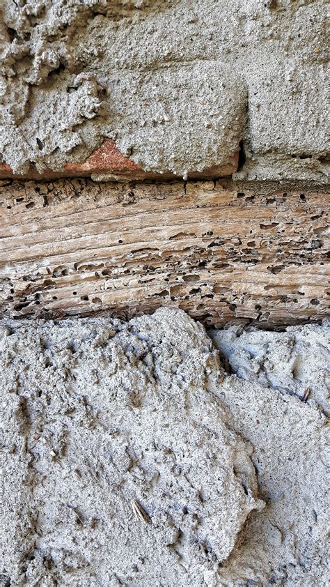 Free Images : rock, wood, texture, old, paint, stone wall, terrain, door, material, geology ...