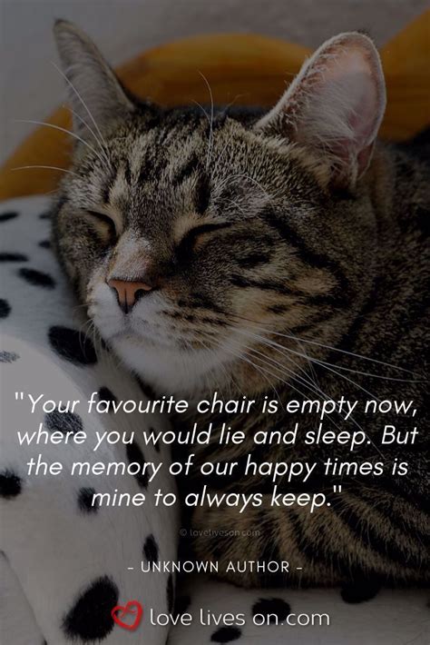 Loss of a Pet Quotes | Loss of a Pet Cat. Memories to treasure. Click to read more beautiful ...