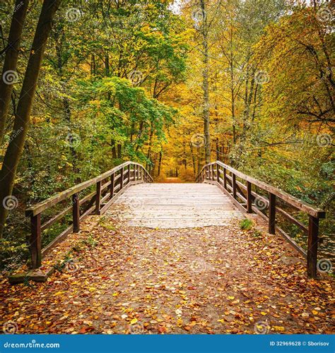 Bridge in autumn forest stock photo. Image of forest - 32969628