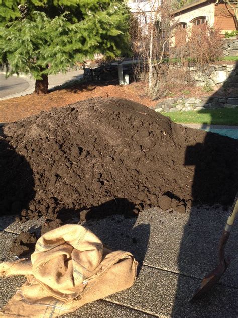 Day 21 Snowcap - Cow poo compost hill, amendments to soil | Grasscity Forums - The #1 Marijuana ...