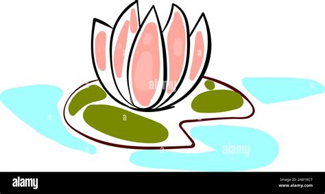 Drawings Of Water Lilies