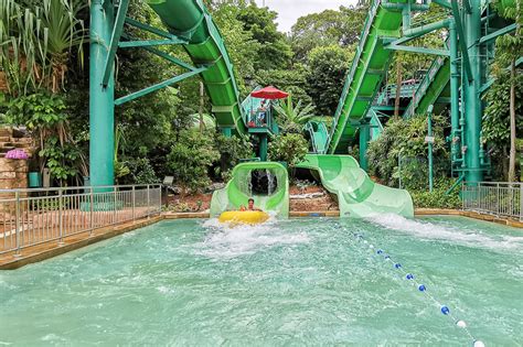 Maximise Your Visit to Adventure Cove Waterpark Singapore