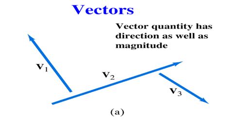 New Vector Quantity Meaning In Marathi Article