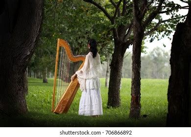 79 Paraguayan Harp Images, Stock Photos & Vectors | Shutterstock