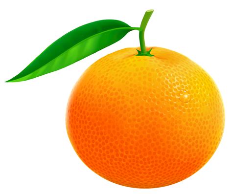 Orange clipart clipart - Cliparting.com