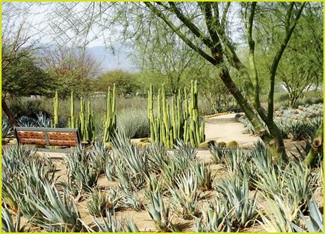 Garden Bench, Sunnylands 2-22-14a | (1 in a multiple picture… | Flickr