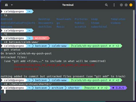 How to Setup Oh my Posh On Ubuntu - Caleb Schoepp