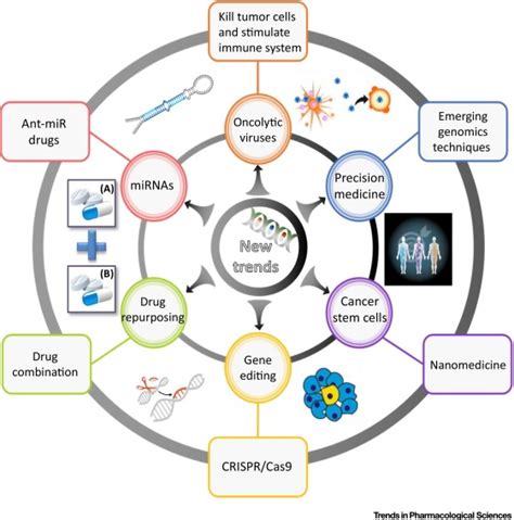 Lessons Learned from Two Decades of Anticancer Drugs: Trends in ...