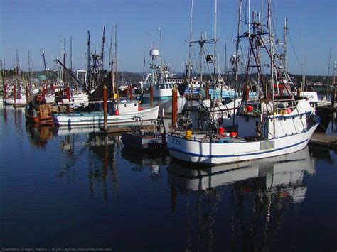 Harbor fishing boats Oregon Photography, Schooner, Fishing Boats, Sea Life, Harbor, Jim, New ...