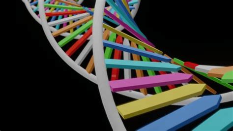 3d Animation Dna Spiral On Black Stock Footage Video (100% Royalty-free) 1102931005 | Shutterstock