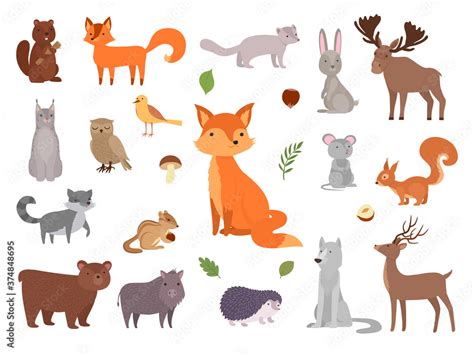 Cute wild animals. Vector forest animals collection fox bear owl vector ...