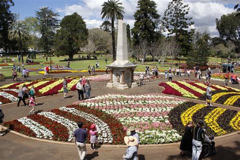 Toowoomba The Garden City Flowers Stock Image - Image of multi, coloured: 21049281