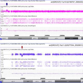 SNP microarray detection of copy number variations using the Affymetrix ...