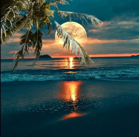 Pin by team Chashman on Nature & Moon & The sea | Beautiful sunset ...