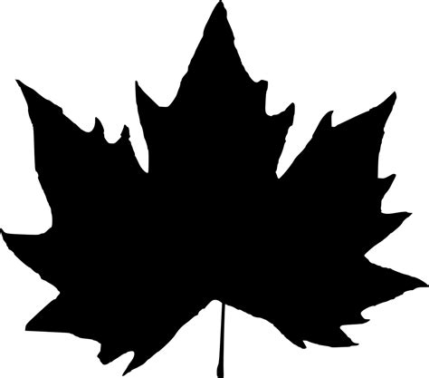 15 Leaf Silhouette (PNG Transparent) | OnlyGFX.com