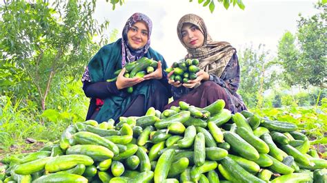 IRAN village life | cooking rural style food | daily routine village life of Iran - YouTube