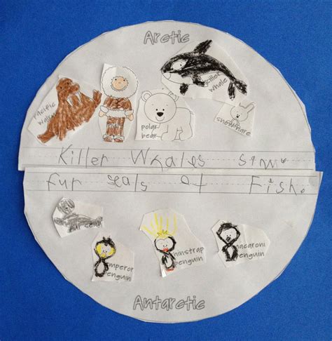 arctic animals vs. antarctic animals. sort animals & write what you learned. | winter & january ...