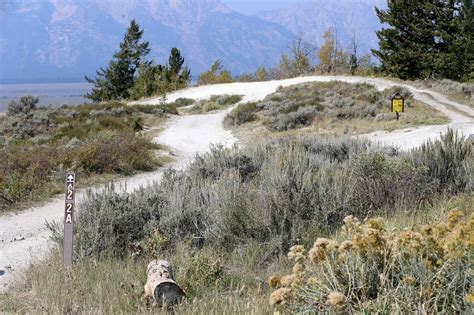 Gabby Petito case: Rangers searching Grant Teton, Yellowstone for woman