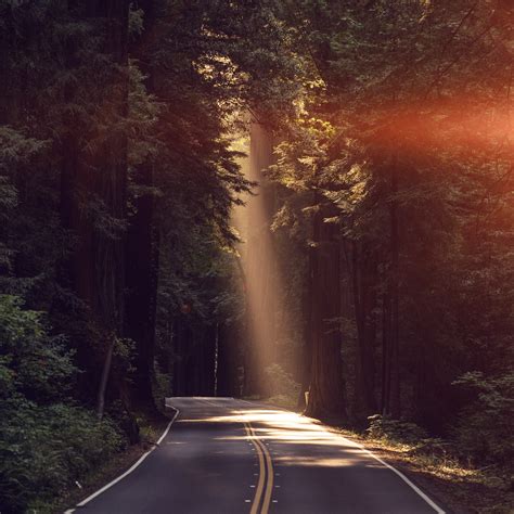 Nature Road Wallpaper - 2732x2732 Wallpaper - teahub.io