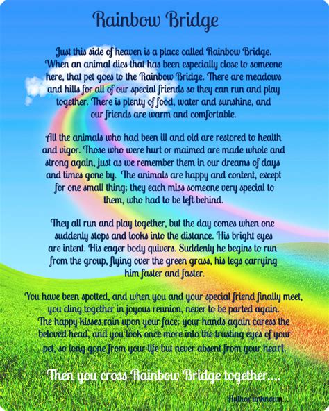 Rainbow Bridge Poem - Rainbow Bridge (600x750), Png Download