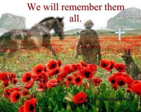 17 Best images about Anzac Day on Pinterest | Cove, The morning and 100 ...