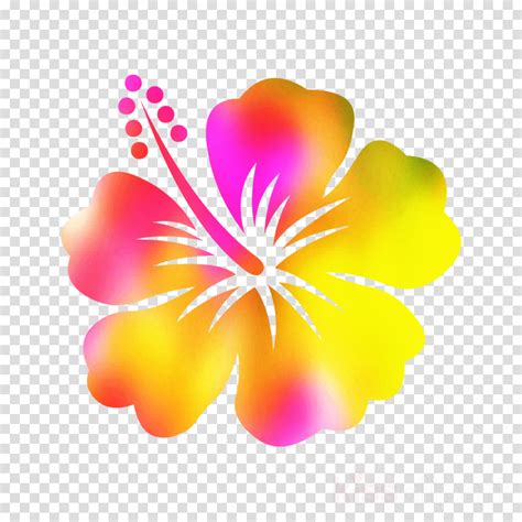 Hawaiian Hibiscus Flower Clipart | Best Flower Site