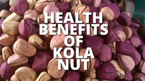 17 Amazing Health Benefits Of Kola Nut