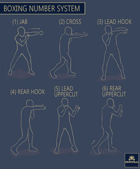 1-6 Basic Types of Boxing Punches (Boxing Number System Explained ...