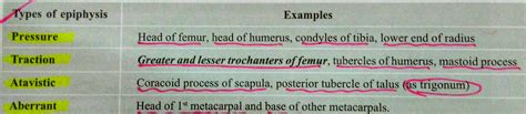 Pin on Histology