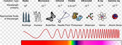 Light Electromagnetic spectrum Electromagnetic radiation X-ray, sound wave, angle, text ...