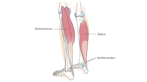 How To Relieve Tight Calf Muscles - Punchtechnique6