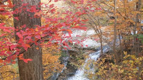 2021 fall colors: Where to find stunning fall leaves in Ohio