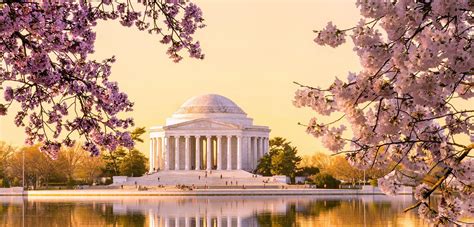 Washington DC Cherry Blossom Wallpapers - Top Free Washington DC Cherry Blossom Backgrounds ...