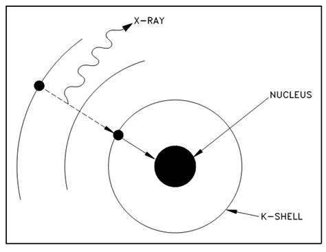 orbital electron capture. | Download Scientific Diagram