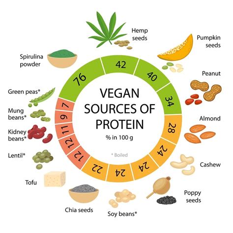 14 Highest Vegan and Vegetarian Protein Sources