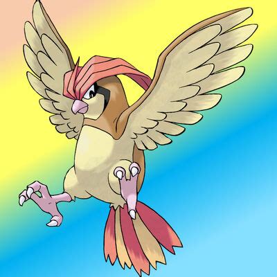 Pidgeotto | Neox's Survivor Brantsteeles Wiki | Fandom