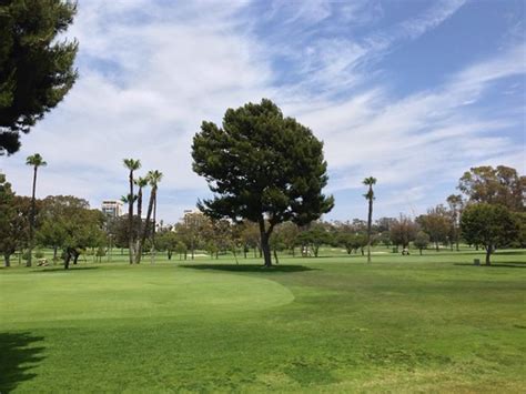 Newport Beach Country Club Golf Course | Just a big tree. | trebory6 ...