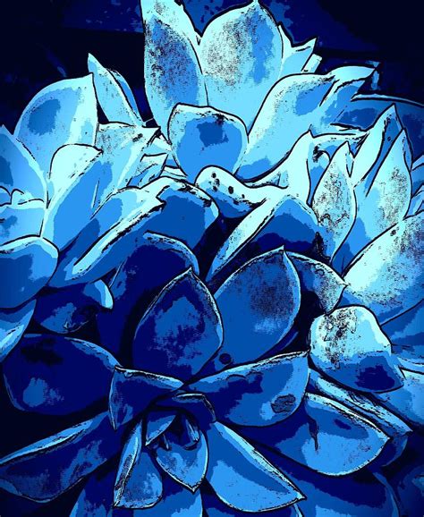 Cluster of Blue Desert Roses Photograph by Loraine Yaffe | Fine Art America