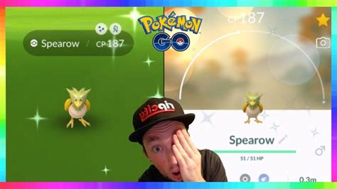 FINALLY CAUGHT SHINY SPEAROW IN POKÉMON GO! Kanto Tour Event 2021 - YouTube