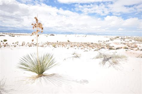 White Sands National Monument : r/NationalPark