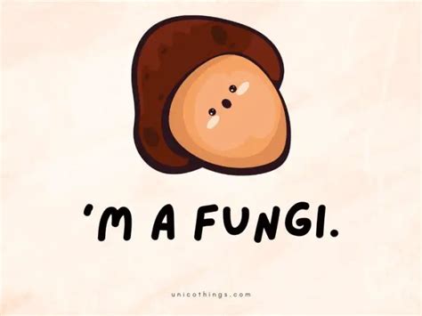 69 Mushroom Puns That Are Hilarious to Read (2024)